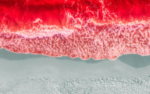 egipto-mar-rojo