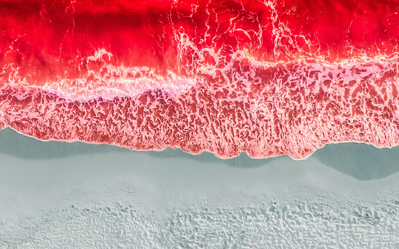 egipto-mar-rojo