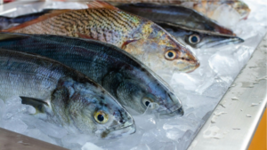 Guía práctica para elegir pescados y mariscos frescos en Semana Santa