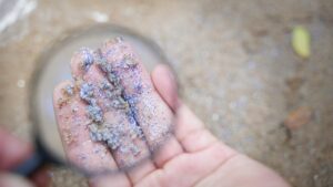 microplasticos