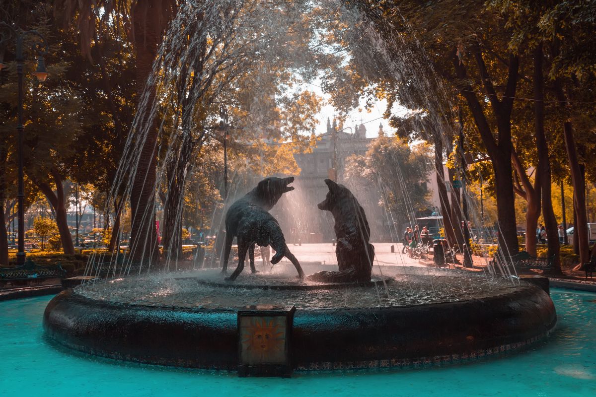 tours-cdmx-que-hacer-puente