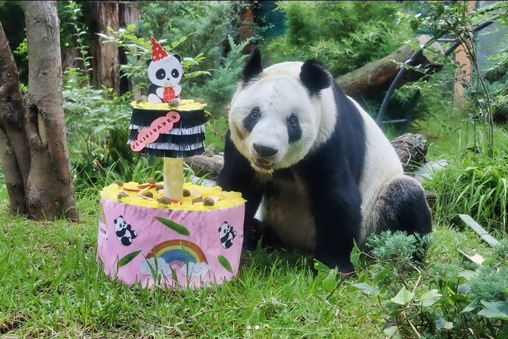 cumpleanos-xin-xin-1024x683