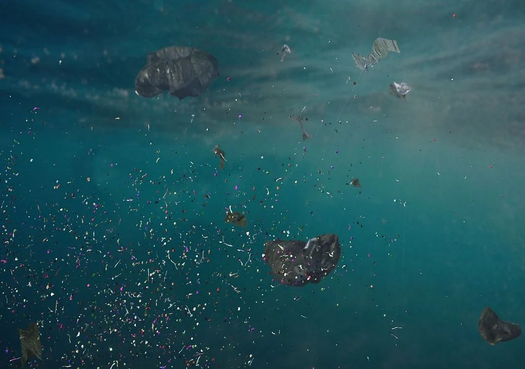encontraron-una-gran-densidad-de-microplasticos-en-la-fosa-de-las-marianas-uno-de-los-lugares-mas-profundos-del-mundo-1746481415646_1024