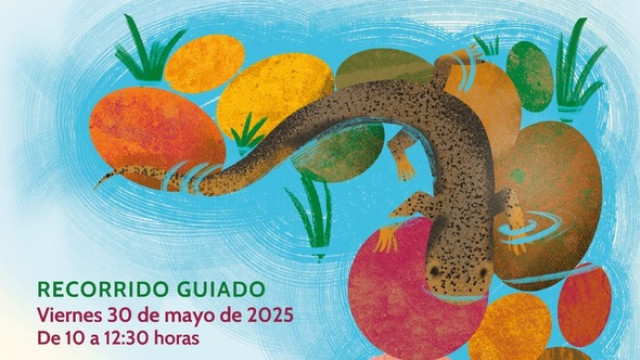 thumb_29859_640_360_0_0_crop