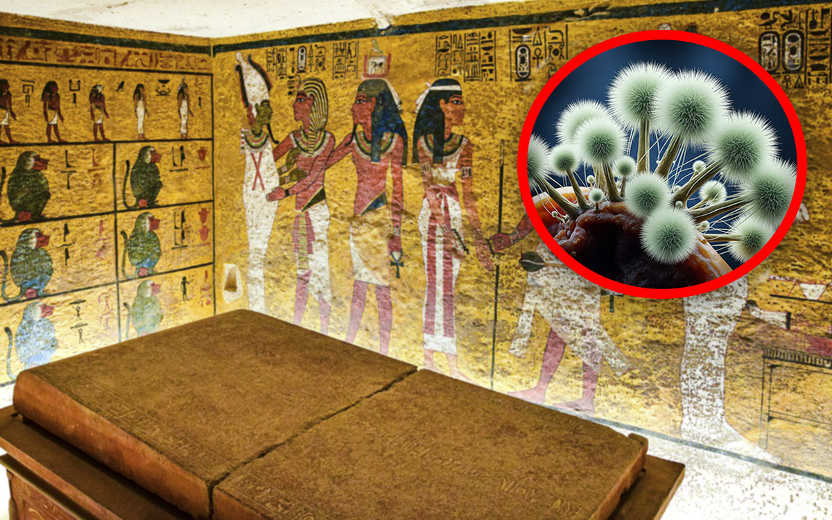 tumba-tutankamon-hongo-pexels-ia-25062025