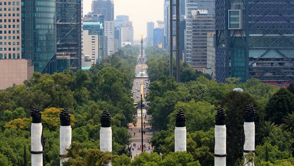 árboles CDMX