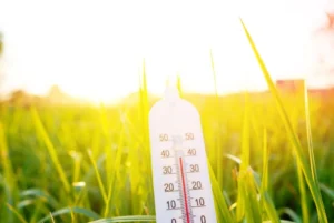 calor