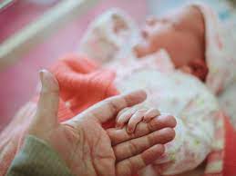 images - 2025-07-15T095614.863