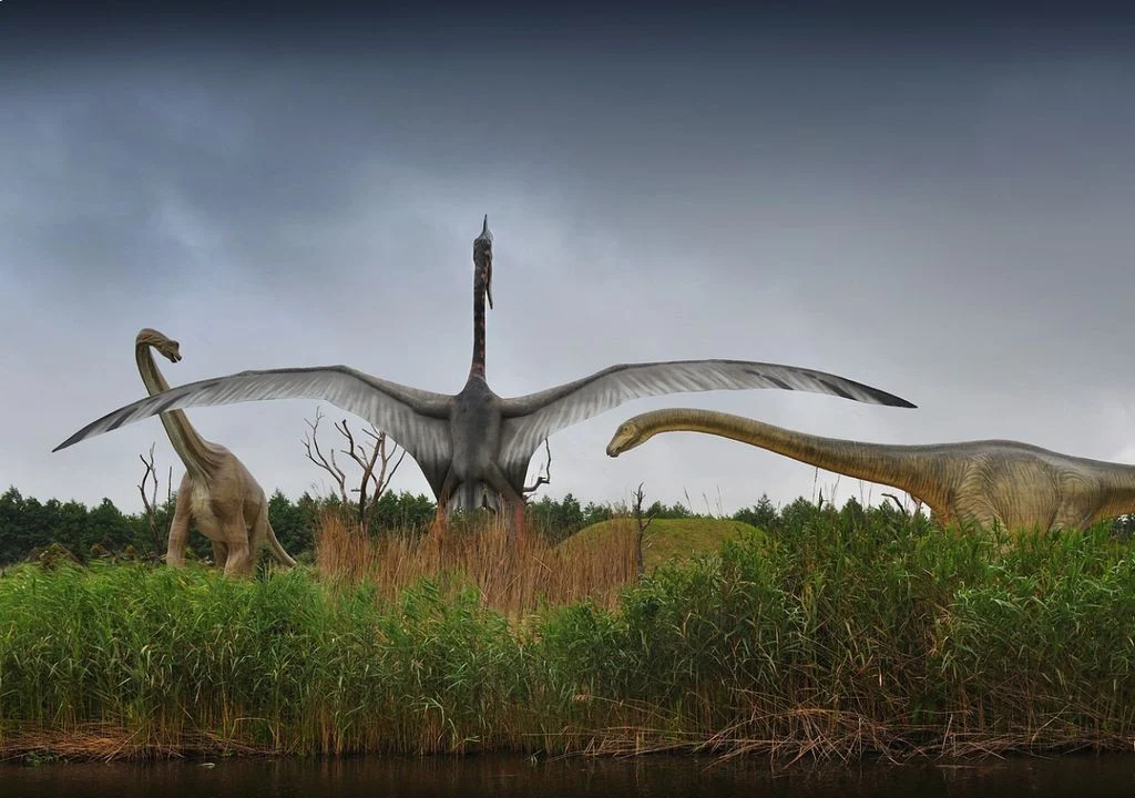nao-foram-apenas-as-penas-os-ossos-dos-dinossauros-tambem-desenvolveram-o-movimento-das-asas-das-aves-1753027804419_1024