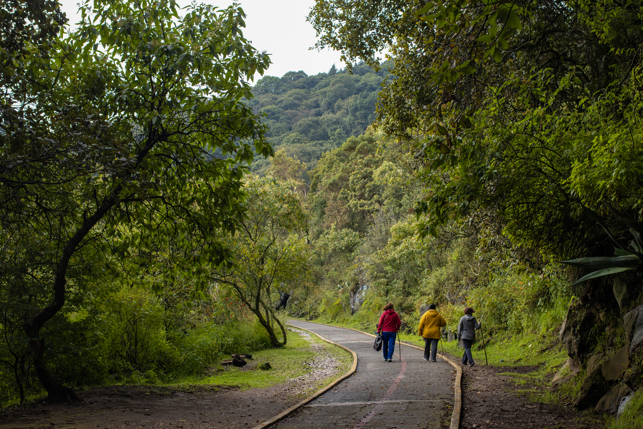 parque-ecologico-1