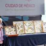 Ciencia y participación ciudadana iluminan la ciudad con nueva especie de luciérnaga en Chapultepec