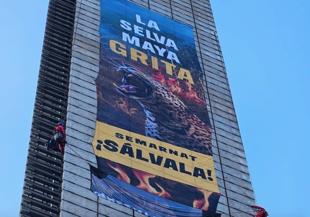 activistas-escalan-la-estela-de-luz-para-proteger-la-selva-maya-17586668932