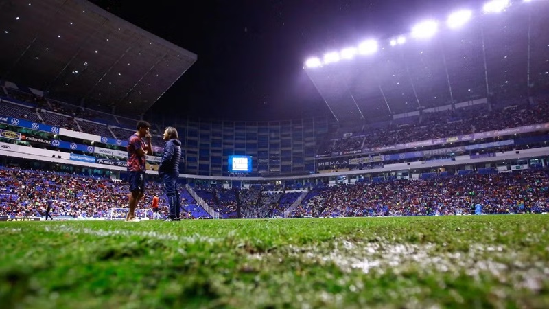 chivas