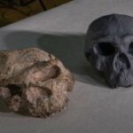 Hallazgo en China reescribe la historia de la evolución humana