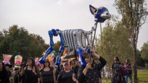 671db995a037c846623480