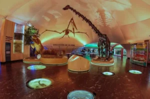 dino-kermes-museo-historia-natural-1024x678