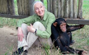 jane_Goodall_01102025