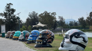 thumb_31014_640_360_0_0_crop