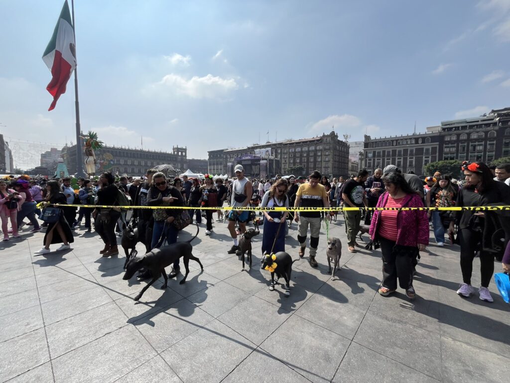 6907dc95cc200570581194