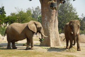 691e1b59a57eb934047615