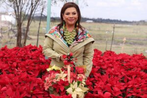 6928e9d936136089013261