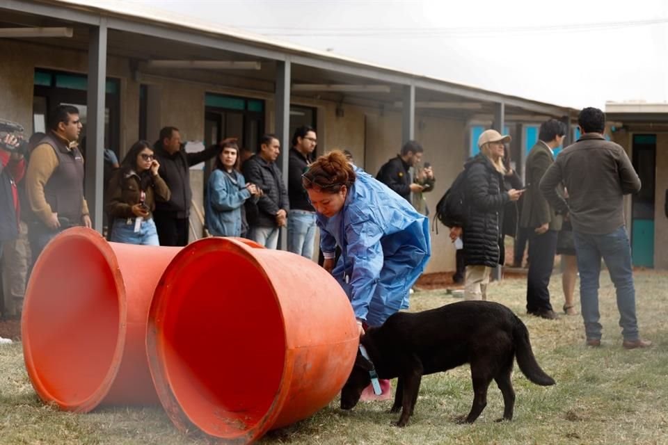 ImageTransformer (14)