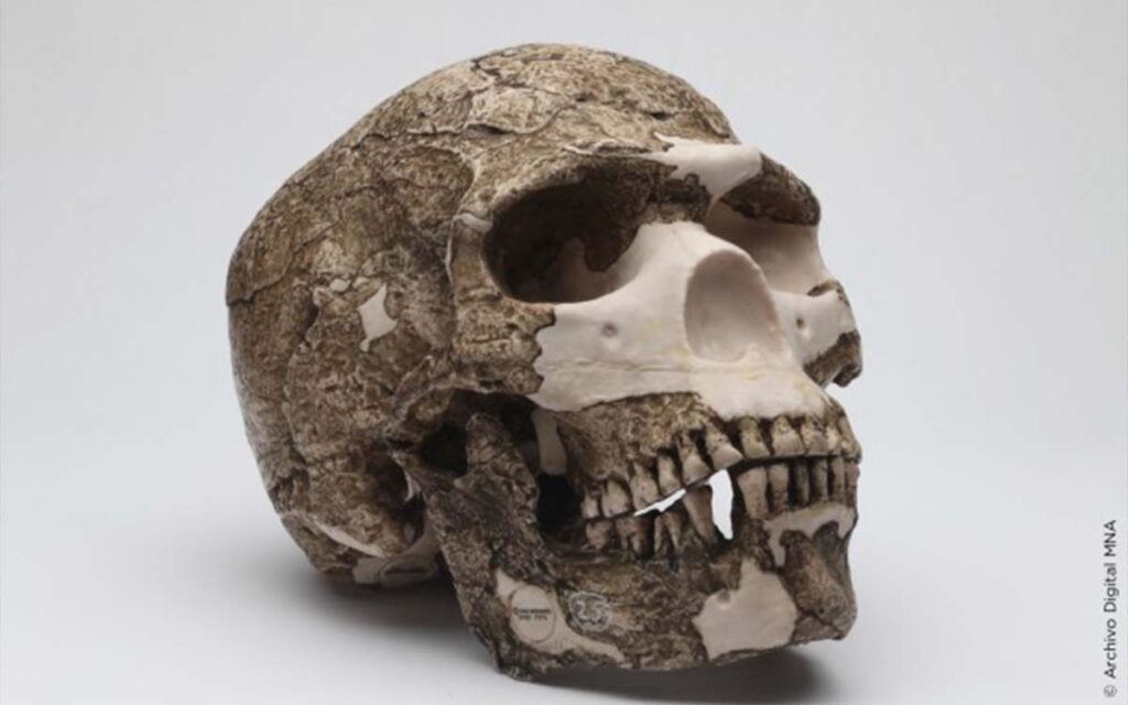 Neandertal-INAH