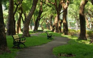 efecto-lujo-naturaleza-solo-para-ricos-700x438