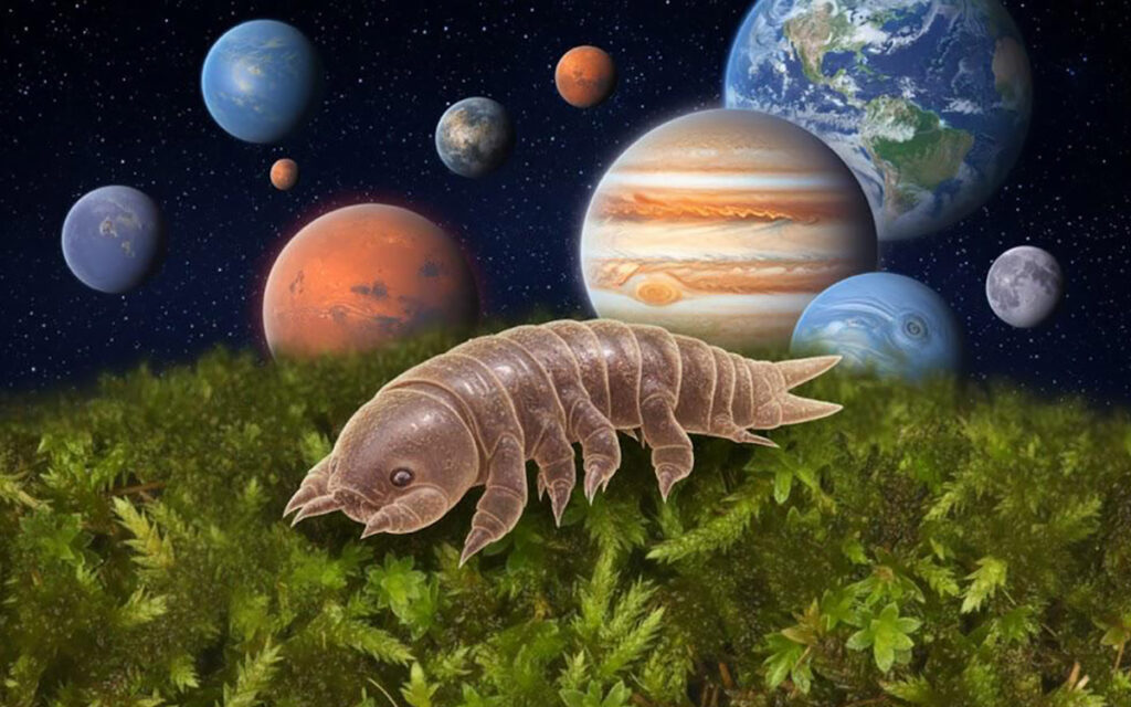 musgo-portada-planetas-23112025