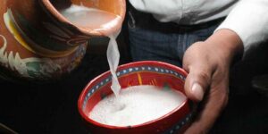 NOTICIA-2-pulque