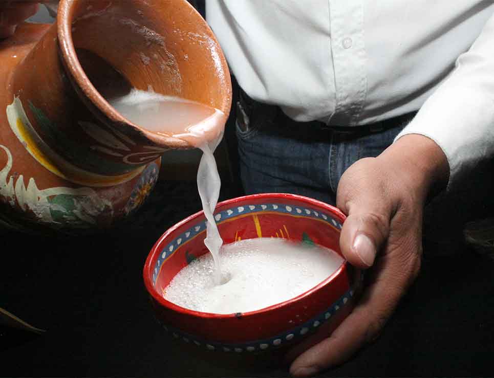 pulque