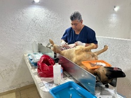 0bac8e58-5a1f-4c5c-b985-f1c6be25b72f