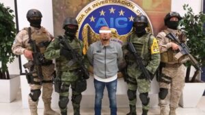 _113785791_eeaoxtpu8aa-dmn