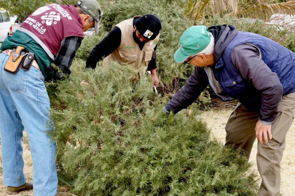 678591c2e78b2926094622