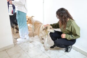 6964514f89c95325918387