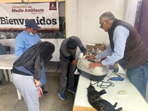 6dcb343a-abe9-43e1-9a9b-0c02c8aea7a3