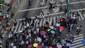 Bloqueo20Insrugentes20su20con2010