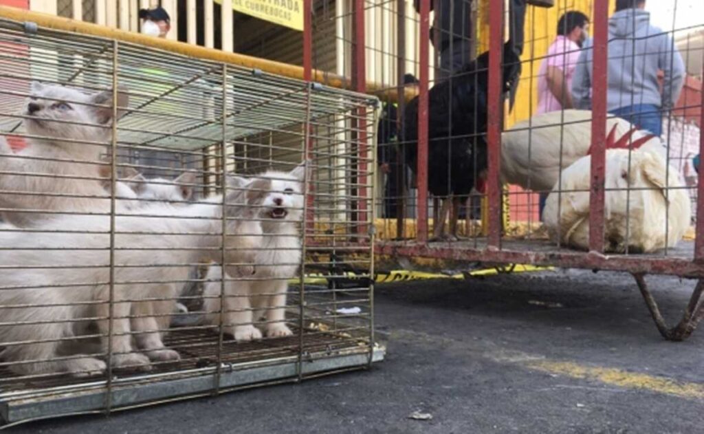 QRFUBM6XP5FPHPAF55GNTBH2JY