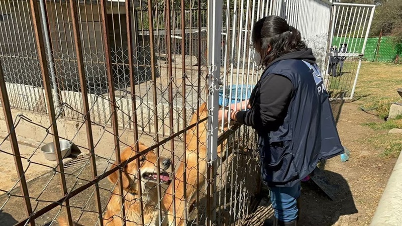 SMBVD54W4BEVHPZK5IHDUKASVQ