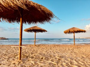 pexels-katy-ramm-2914800-25300513