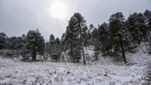 tercera-tormenta-invernal-frente-frio-30-31