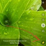 Los mejores celulares con cámara macro por menos de 10 mil pesos en México