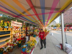 699100d581b18003044289