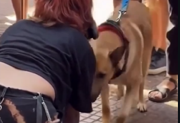 {C651A7A2-DE1E-421B-8B0E-323E66D6805D}