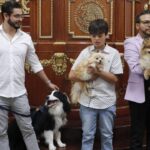 Congreso capitalino será pet friendly: aprueban acceso regulado de animales de compañía