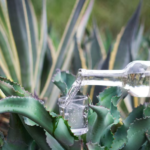 Oaxaca, el destino ideal para un San Valentín lleno de sabor y romance