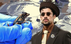 bad-bunny-sapo-cacho-concho-141025