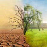 La Última Llamada: 44 Especies Cruzan el Umbral de la Extinción en 2025