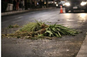 e2b4939e-b6e2-48f4-be4c-dea235301717