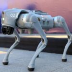 ¡Ojos de acero! Nuevo León presenta a los perros robot que vigilarán el Mundial.